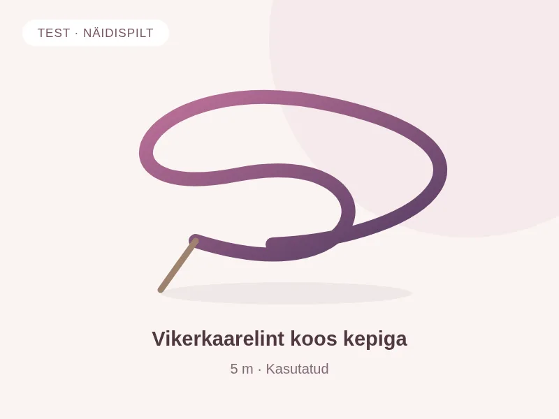 TEST · Vikerkaarelint koos kepiga
